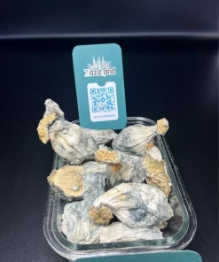 Mushrooms
