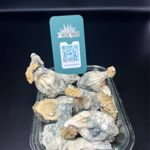 Mushrooms